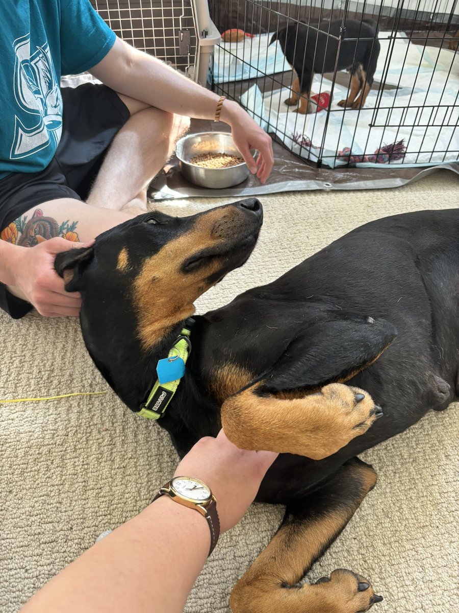 Irene 👹 tweet media