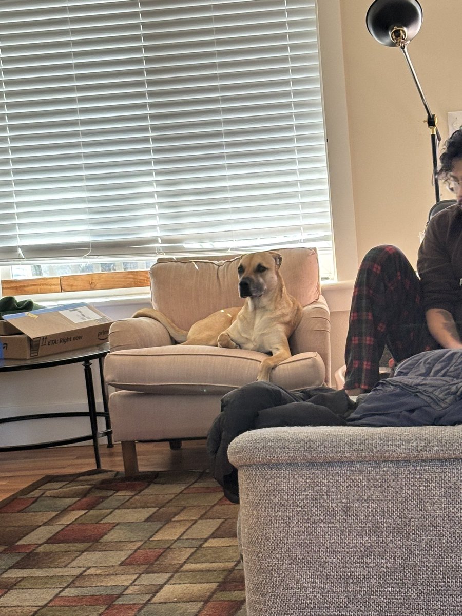 Irene 👹 tweet media