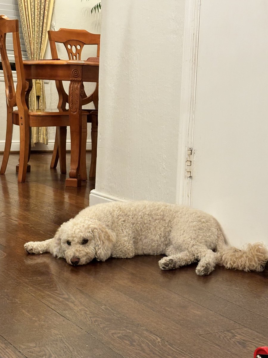 Irene 👹 tweet media