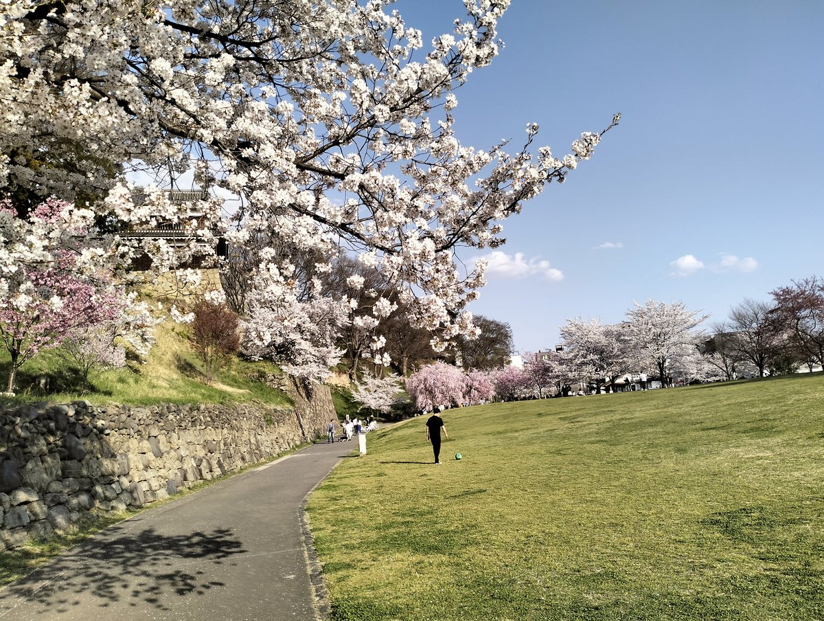 やぐら下芝生広場