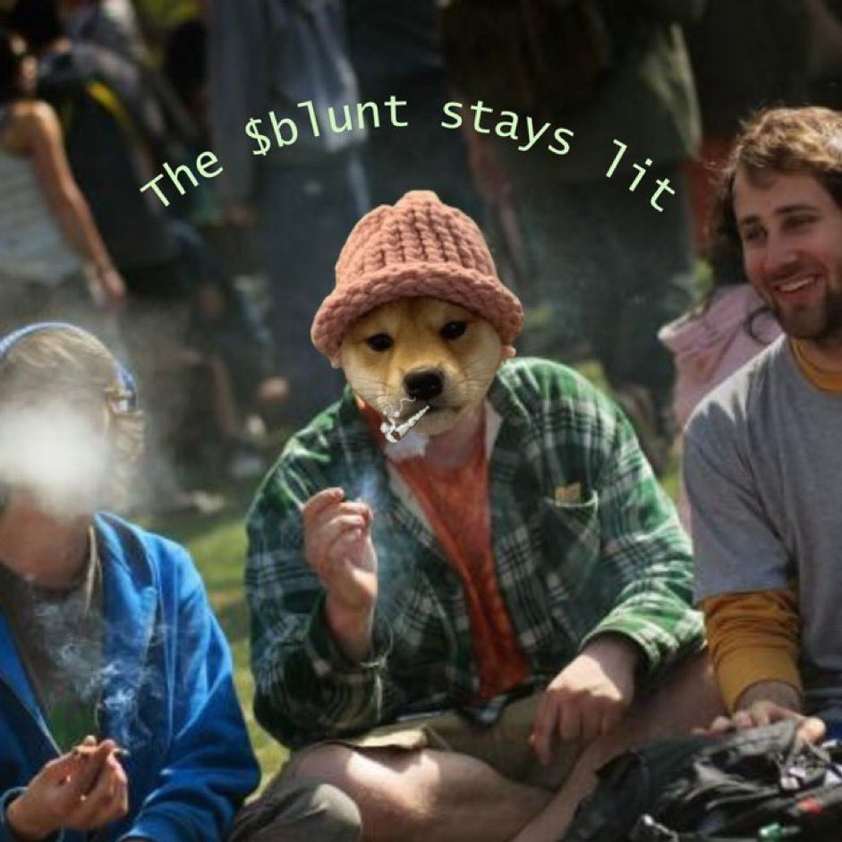 <a href="/3orovik/">borovik</a> Up and up just like the $BLUNT

CA:
AFtB8hM5sY1F7uinDFq6bpGnSBe4okgqL361TNrTiKm5