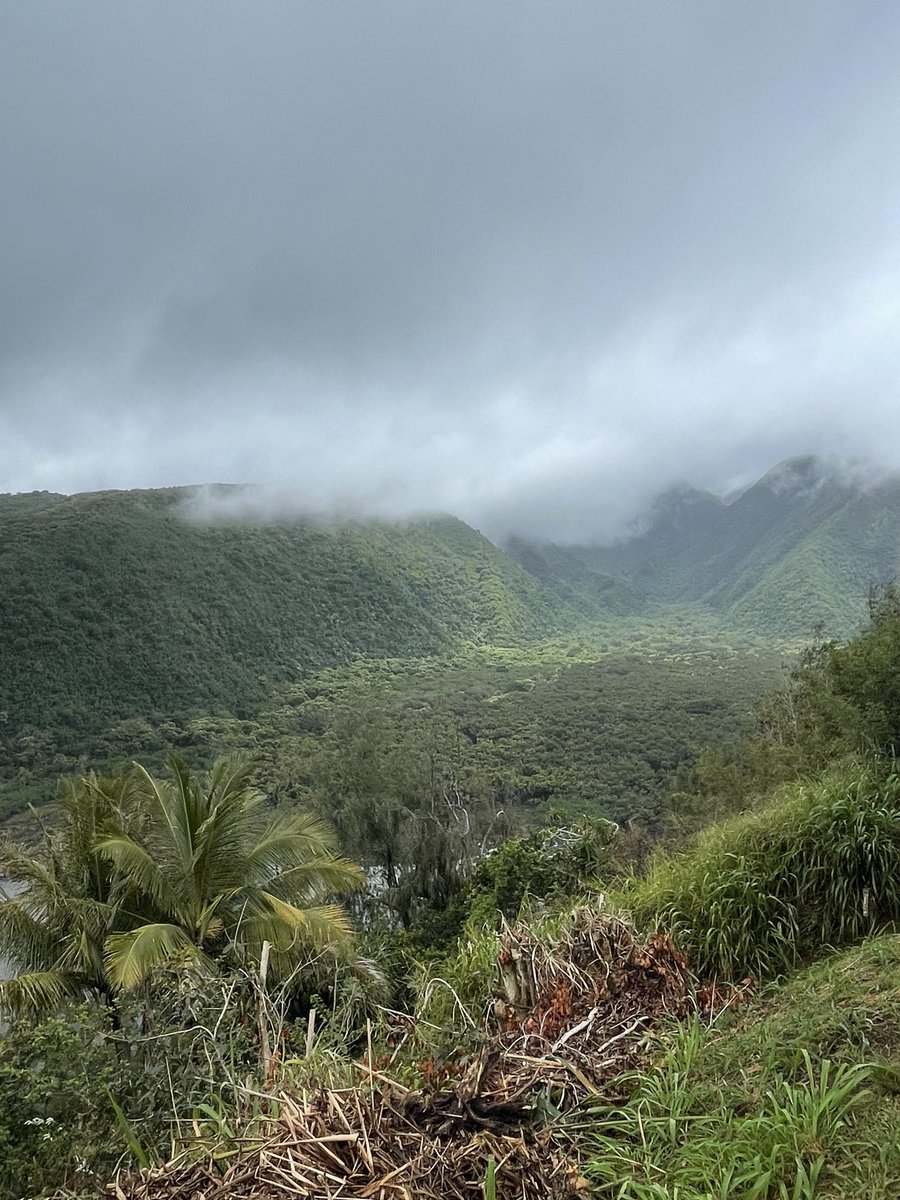 From Pu’ukoholā to Pololu Valley, a significant trek, The Pohaku’s(Rock’s) that built that Heiau is from that valley 25 miles away. So much History not known to many, so much Mana in these places. Love to teach my culture and history to the many other things I love
#Kanakamaoli