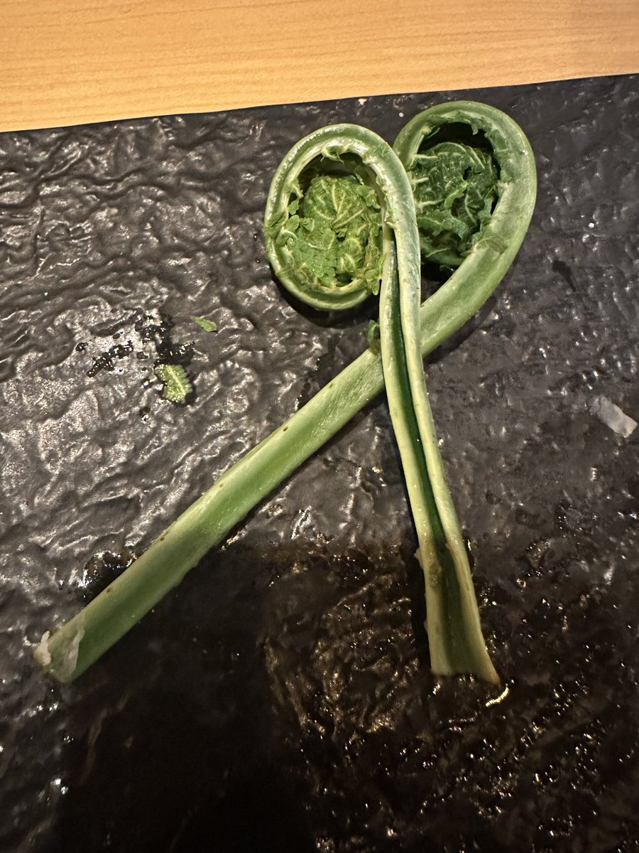 MischainJapan's tweet photo. #japan #sansai #vegetable or spring mountain vegetable #warabi #山菜 #蕨野菜 #eaglefern #adlerfarn these vegetable are often collected in the mountains and #bears love these vegetable, sometimes people do not come back from their tours, this eagle fern contains poison, so be careful