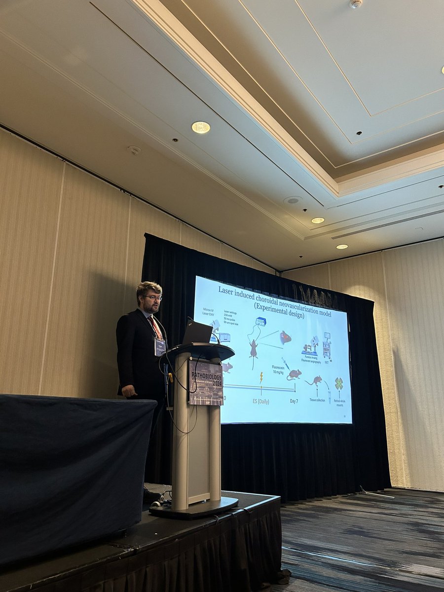 Daisy Shu (she/her/hers) tweet media