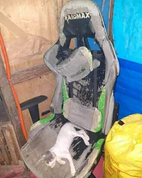 q dicen, será hora de cambiarlo o aguanta todovia?