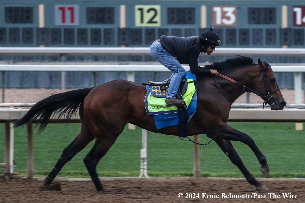 Arabian Knight (4F: 50.00 H) working this morning.