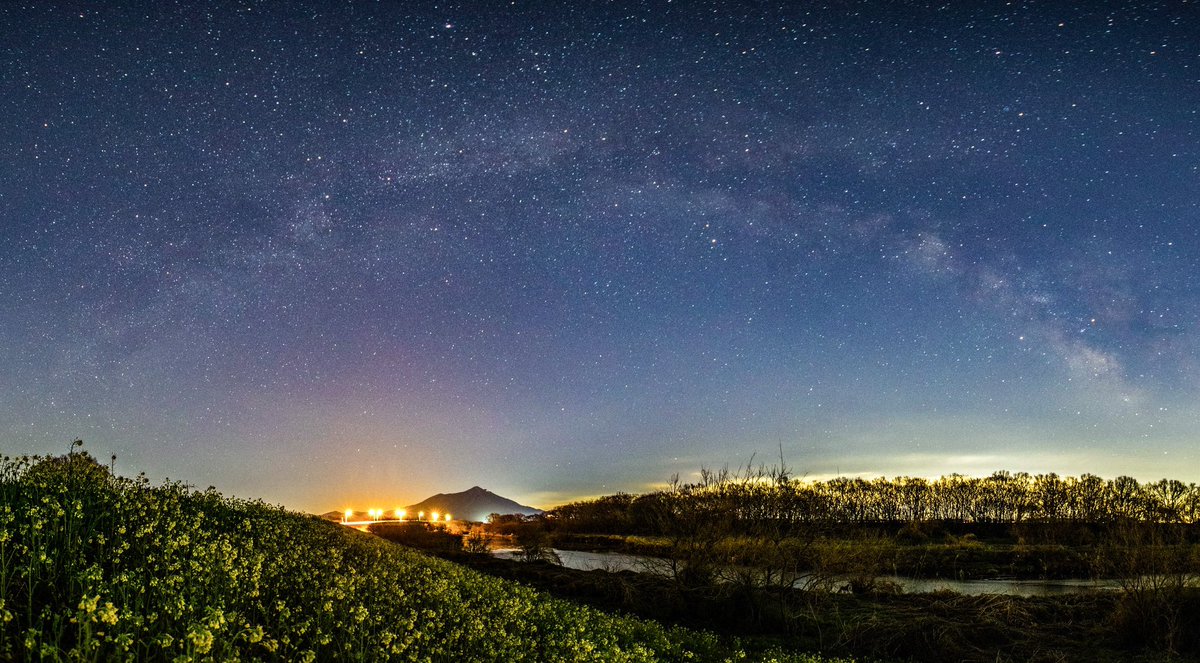 春の天の川アーチ🌌