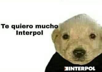 Ivan Sánchez tweet media