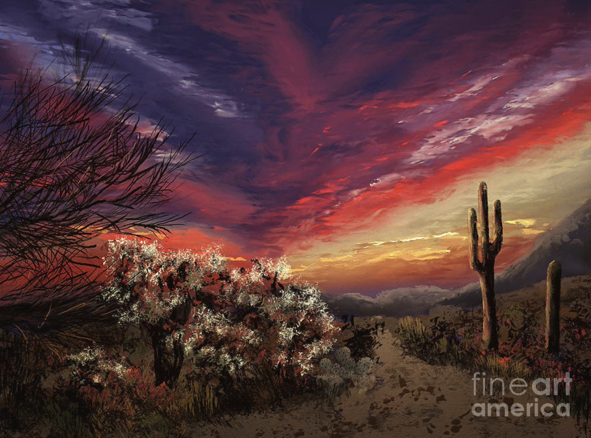 Check out Sonoran Sunset … and nite-nite all!!  fineartamerica.com/featured/sonor…