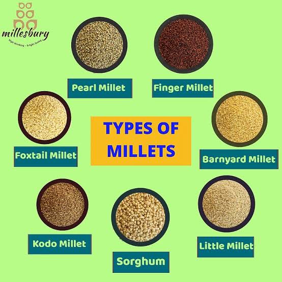 coachyawe's tweet photo. @CKyobutungi Which of this millets is a staple in sub saharan Africa? https://t.co/0Cw0RdD1lP