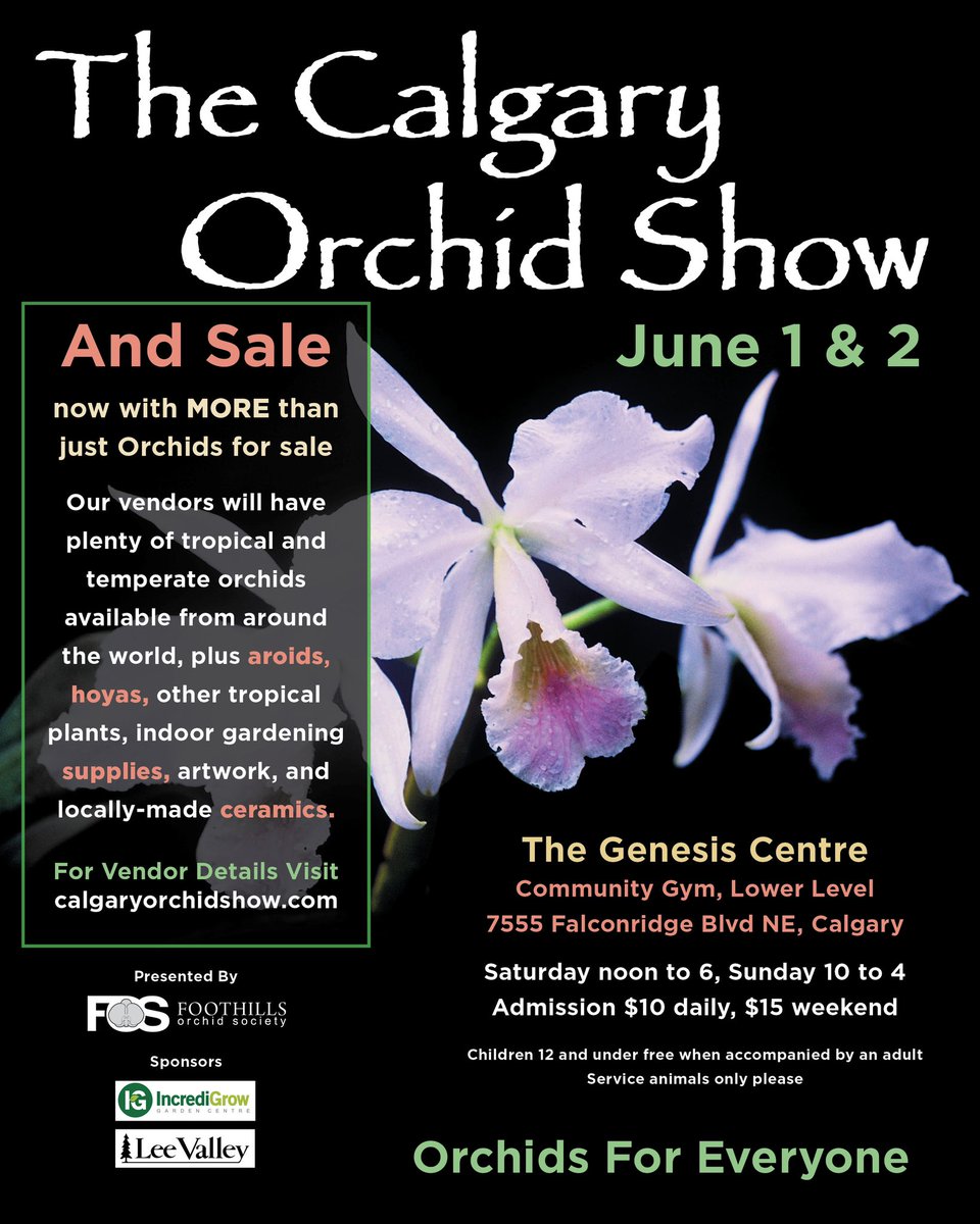 FoothillsOrchid's tweet image. Only six weeks until our show!  It’s not too late too preorder plants for pickup at the show, go to calgaryorchidshow.com for more details