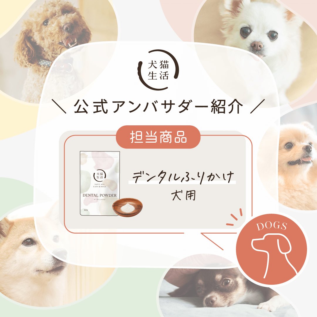 犬猫生活　デンタルふりかけ（国産鶏肉＆レバー味）30包✕２ デンタルふりかけ国産鶏＆レバー味（猫用） | 犬猫生活公式ショップ