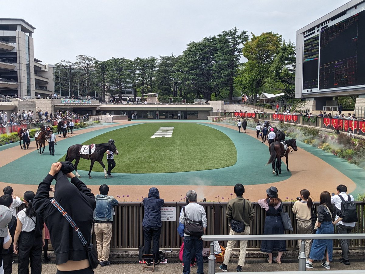 0606d89's tweet photo. 今日はお馬さん見に来た https://t.co/g3ZXSpBwjM