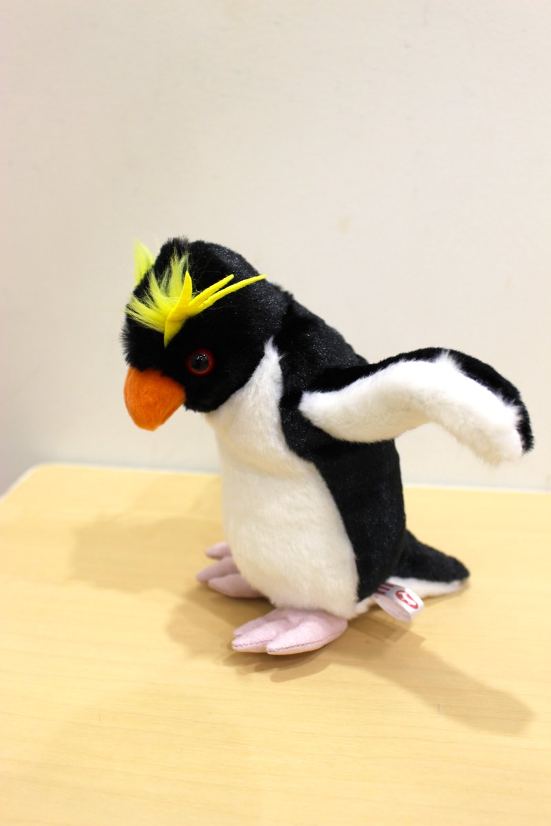 ギフトショップ商品紹介】 水族園飼育係監修のオリジナルぬいぐるみに