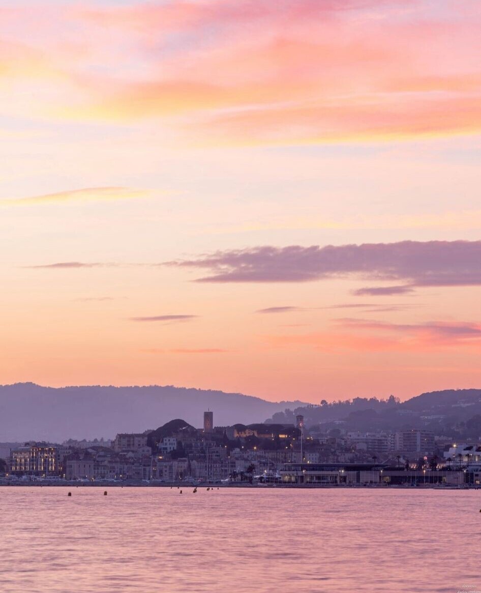 (Re)Découvrez chaque jour le #Département06 en photo ! Partagez vos plus beaux clichés du Département avec #AlpesMaritimes 

L'équipe du Département vous souhaite une belle journée ☀️

📸 slpcannes (IG) / Cannes

#CotedAzurFrance #VisitCotedAzur @VisitCotedazur