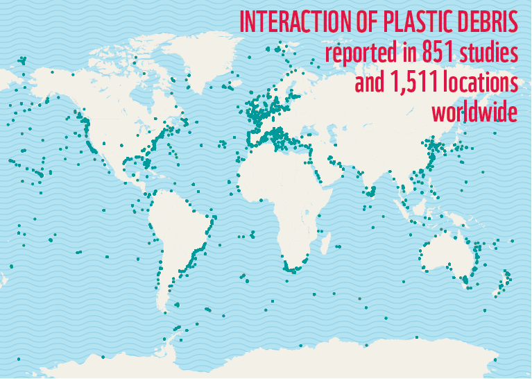 Dr. Melanie Bergmann 🐘MBergmann🐘mstdn.social tweet media