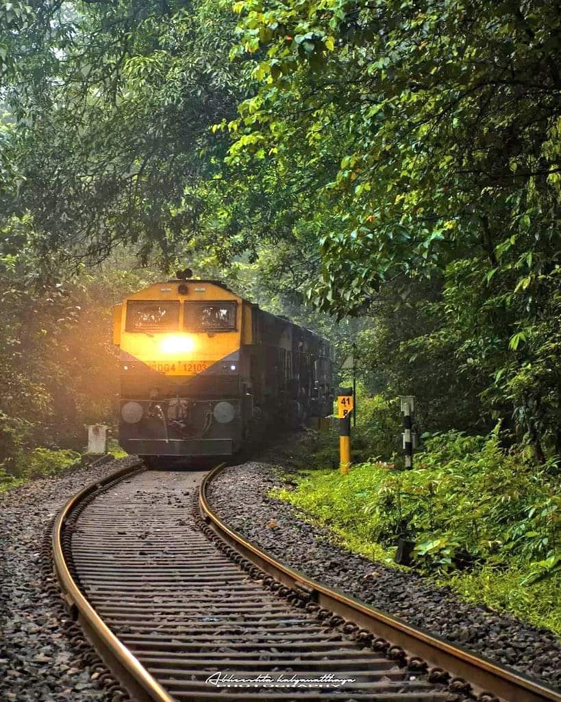 Good morning - The gorgeous capture of a train emerging from the dense forest of Braganza Ghats at the break of dawn - near Dudhsagar station in Hubbali Division of South Western Railway