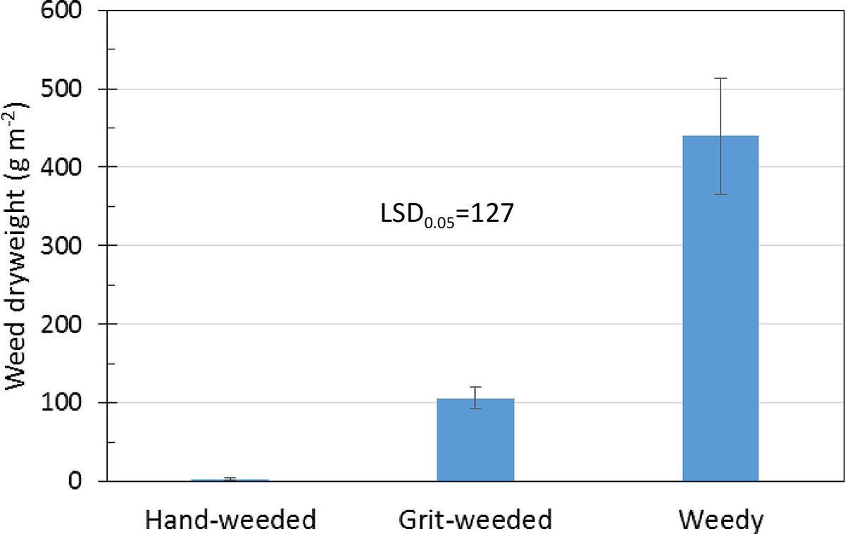 #TIA Abrasive corn cob #grit shows potential for weed control in apple orchards, particularly for broadleaf #weeds, but less effective against grass weeds. @MaximumAcademic @UMN_AgroPlant Details: maxapress.com/article/doi/10…