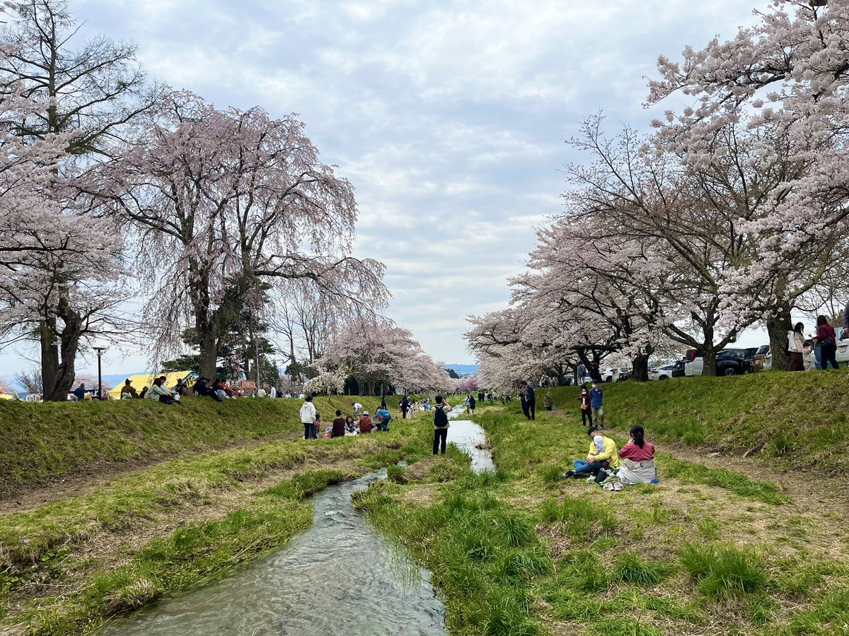 mori308sw's tweet photo. 猪苗代の桜まだ残ってた！
#観音寺川の桜並木 
#猪苗代 https://t.co/9V0Q2zqbCJ