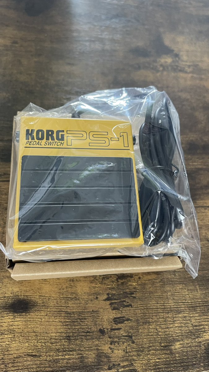 結構可愛くてお気に入りしました〜
こやつでミュートをするんだ……
#PS-1 #KORG