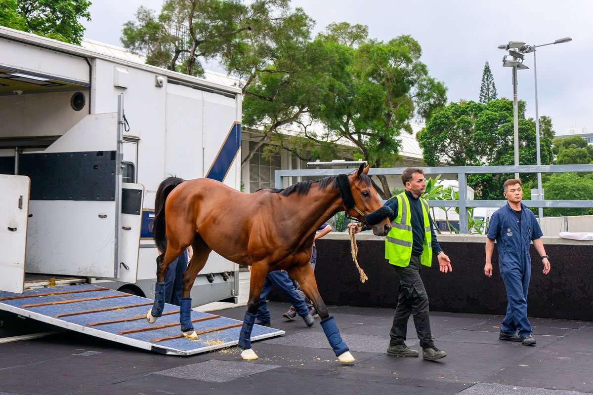 Touchdown Team GB! 🇬🇧✈️🇭🇰 BRAVE EMPEROR, BELIEVING and DUBAI HONOUR have landed in Hong Kong ahead of next Sunday. #HKRacing | Apr 28 | #FWDChampionsDay