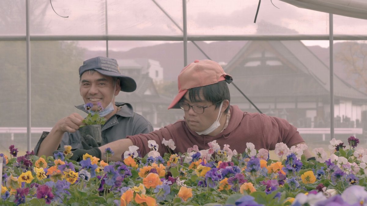 【公開劇場続々③】 ［まもなく上映開始🗻］ 長野県：上田映劇 5月10日㊎～ 島根県：小野沢シネマ 5月15日㊌～ 東京都：下高井戸シネマ 5月25日㊏～ 新潟県：高田世界館 6月1日㊏～ new!長野県：長野相生座・ロキシー 6月7日㊎～ 高知県：ゴトゴトシネマ 6月8日㊏～ ↓#フジヤマコットントン