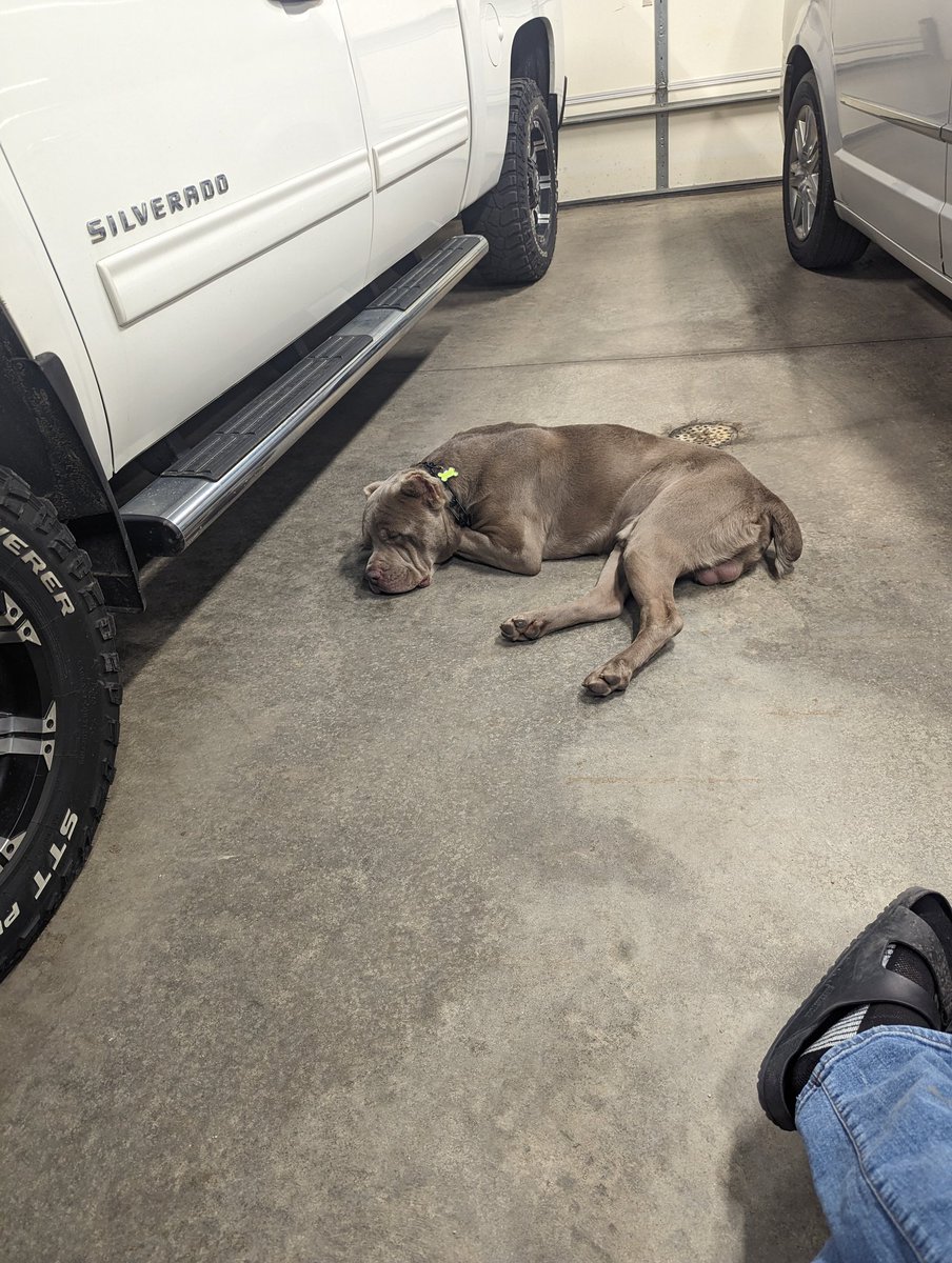 Pbritt56 tweet media