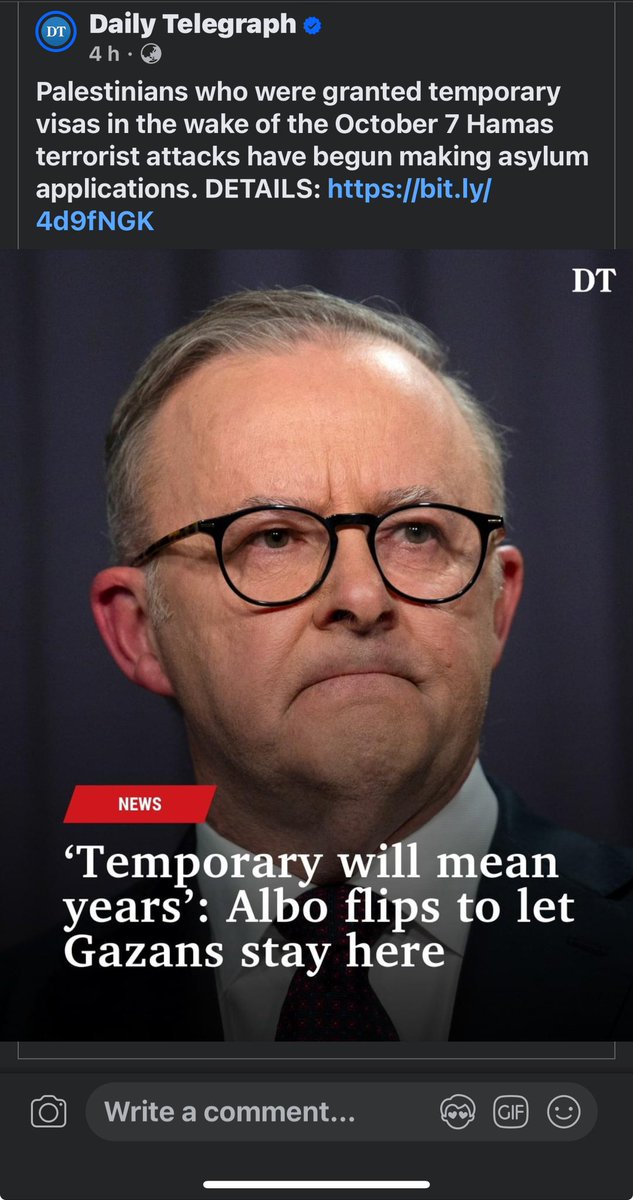 @AlboMP so now you are letting Terrorists into Australia ? Are
You fucking high ? You daft idiot ? Seriously !