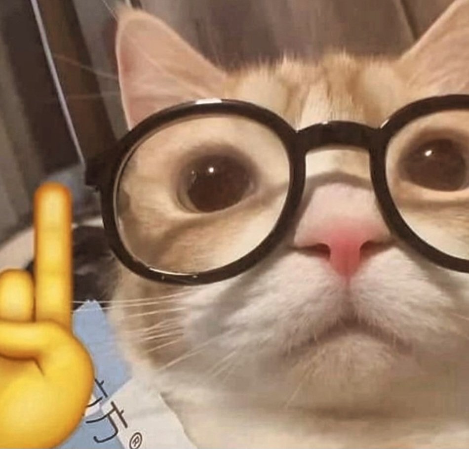 FRICSZ_505's tweet photo. @rariiuru Un gato :D https://t.co/chBOXHSFIj