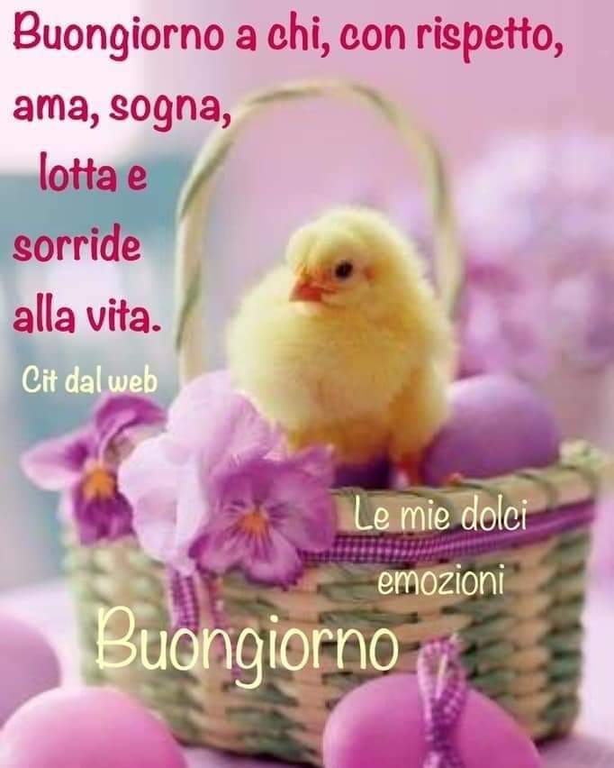 Buongiorno e buona domenica