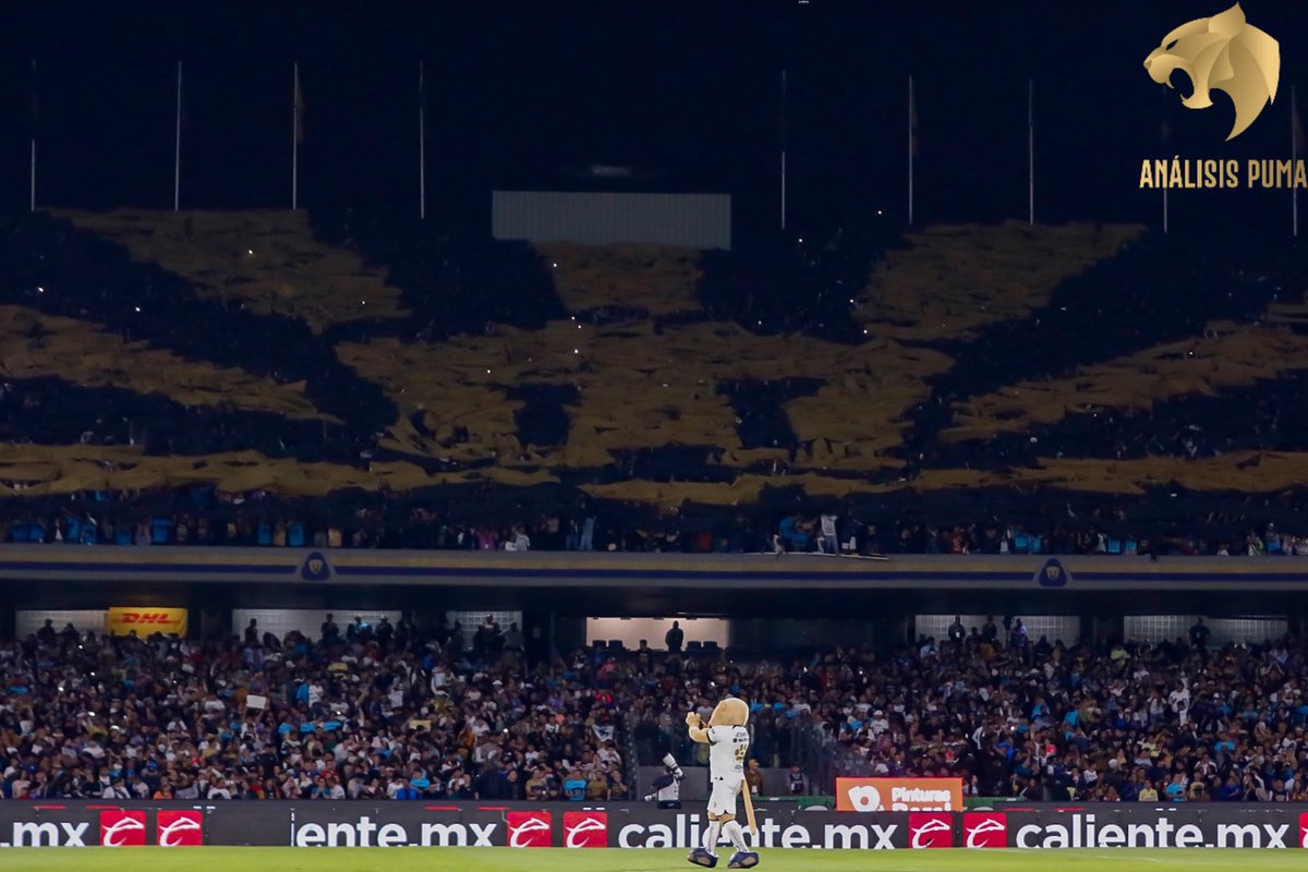 AnalisisPuma's tweet photo. SOMOS LOS MEJORES

#Pumas #UNAM https://t.co/KrZYzM3o5L