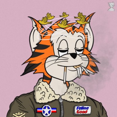 Had to switch it up to my pilot👨‍✈️ Rebrand goes hard <a href="/FelineFiendz/">Fiendz</a>