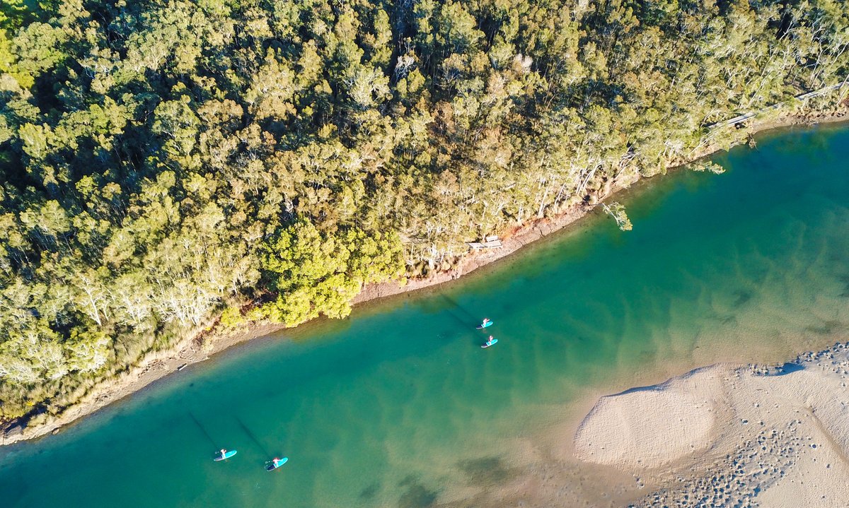 Shout out to Wajaana Yaam Gumbaynggirr Adventure Tours in Coffs Harbour, NSW. The #ecotourism venture supports youth employment and Indigenous language initiatives. Visit their website to learn more about their community-driven mission! 🚣🏾‍♀️🚶🏿‍♂️

👉🏿 wajaanayaam.com.au