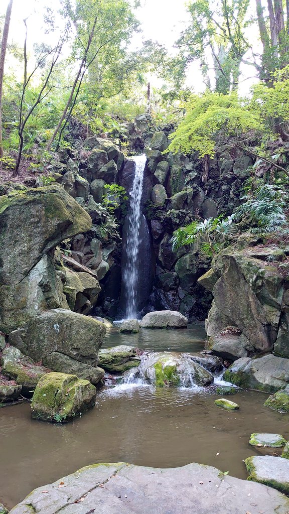 LeftAtsu's tweet photo. 2024/4/13
千葉県成田市・成田山新勝寺
よく歩きました👣
御朱印はいただいた順に、
①大本堂②光明堂
③釈迦堂④出世稲荷
⑤醫王殿⑥平和大塔
獅子山、立派だった✨
御護摩、良かった✨
成田山公園、広すぎた😳
（滝まであるなんて！）

#成田山新勝寺
#御朱印 https://t.co/hfhZqAwcho