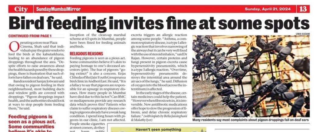 In today’s @mumbaimirror we look at citizens concerns over large scale #pigeon feeding in many areas of Mumbai from #MarineDrive to #Andheri. As per rules feeding at non designated spots attracts a penalty, but is it being implemented? More below.