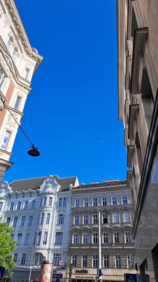 KHKindler's tweet image. vienna marathon heaven 
#vcm #vcm2024