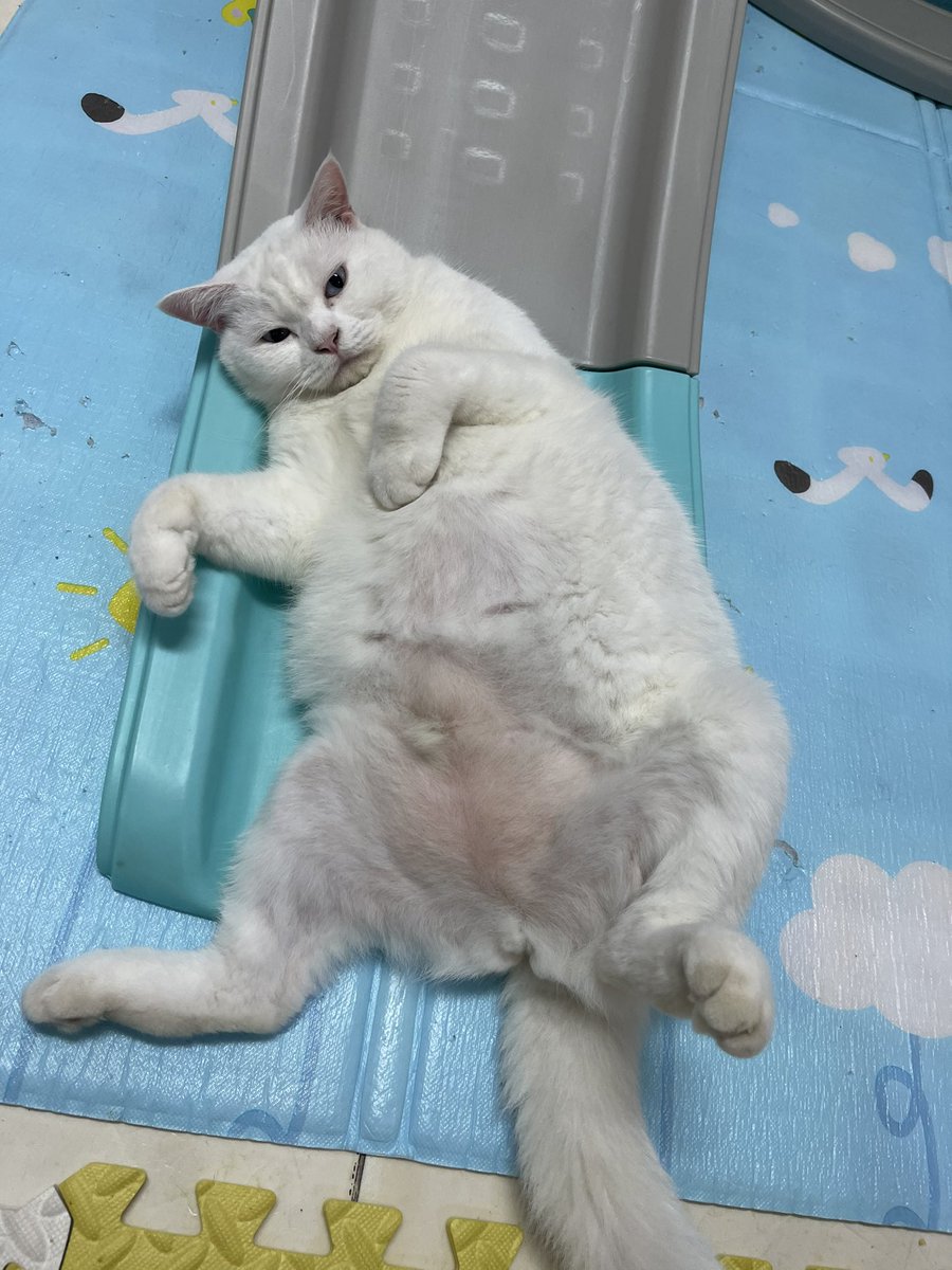 แจมินโซผัว tweet media