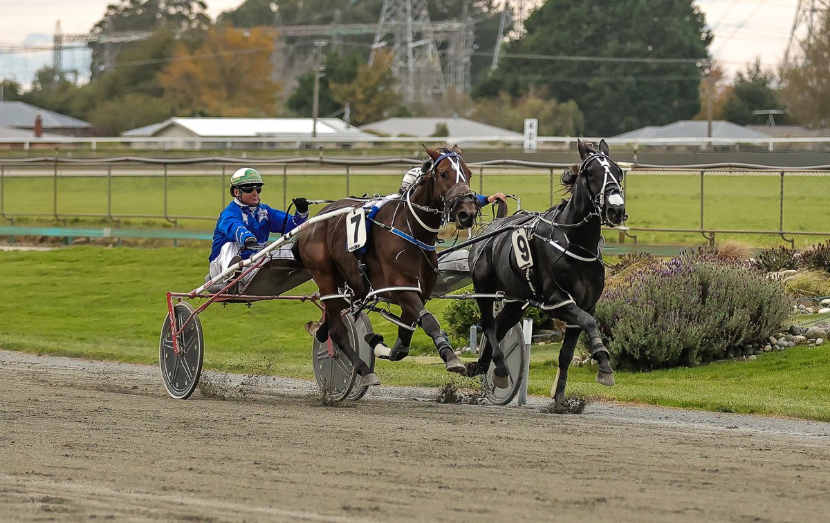 Harness Racing NZ (@harnessracingnz) on Twitter photo What a race! So much action!
The Group 1 Diamond Creek Farm 2YO Classic provided some great entertainment from start to finish with RUBIRA remaining unbeaten and picking up the Group 1! What a race! So much action!
The Group 1 Diamond Creek Farm 2YO Classic provided some great entertainment from start to finish with RUBIRA remaining unbeaten and picking up the Group 1!