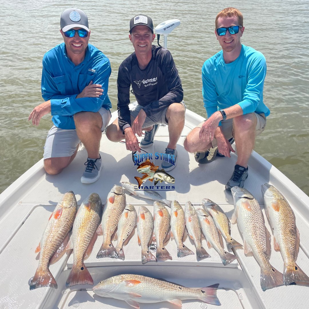 DPMSSC's tweet photo. Reeling in the reds this weekend! 🎣 Inshore adventures with Van Der Molen crew from Mississippi and Captain Matt! 🔥 

#CatchOfTheDay
#RedfishRumble
#InshoreFun
#louisiana
#bluewaveboats
#fishing
#superstrike
#superstrikefishingcharter
#redfish
#spring
#inshorefishing https://t.co/Va8OJ8sDAi
