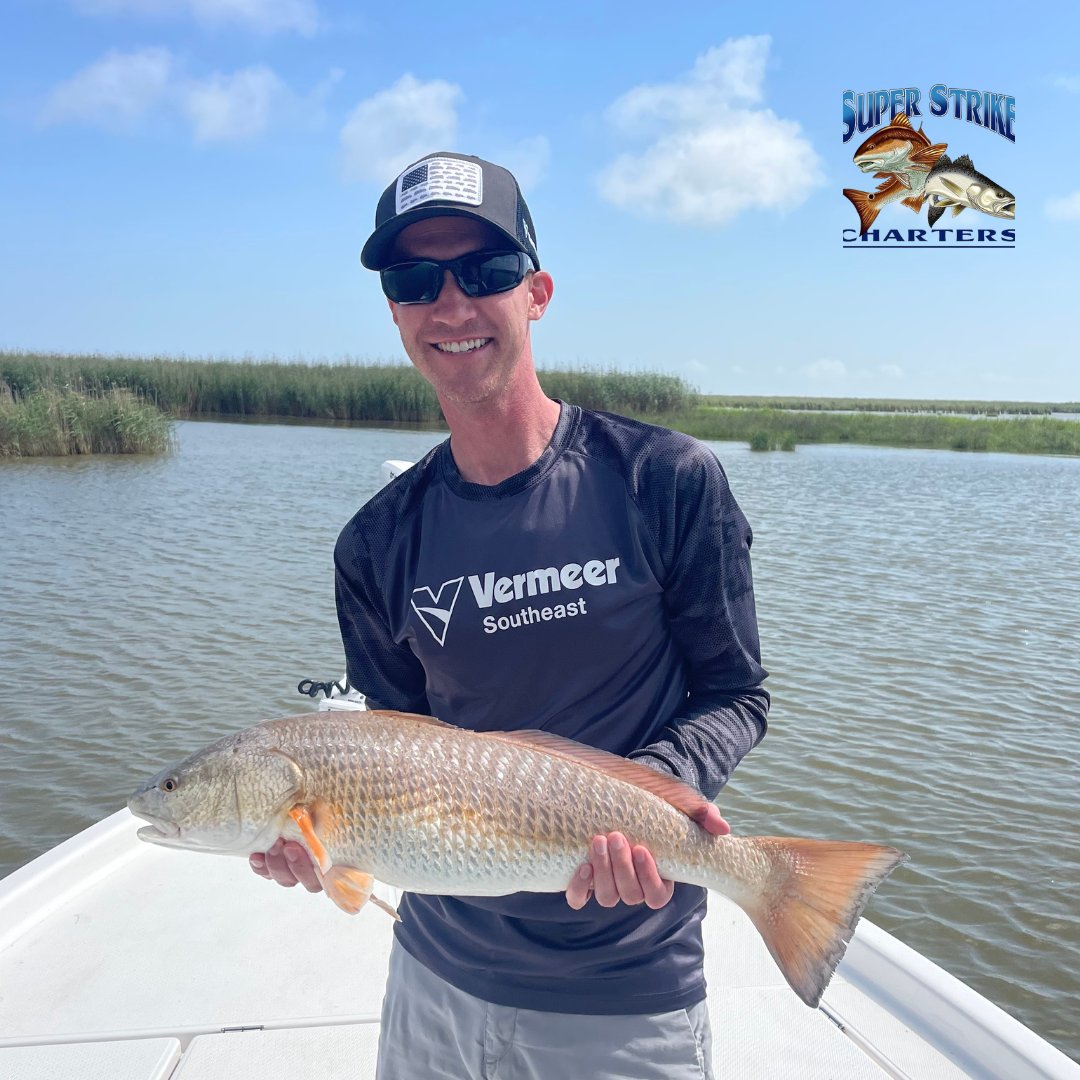 DPMSSC's tweet photo. Reeling in the reds this weekend! 🎣 Inshore adventures with Van Der Molen crew from Mississippi and Captain Matt! 🔥 

#CatchOfTheDay
#RedfishRumble
#InshoreFun
#louisiana
#bluewaveboats
#fishing
#superstrike
#superstrikefishingcharter
#redfish
#spring
#inshorefishing https://t.co/Va8OJ8sDAi