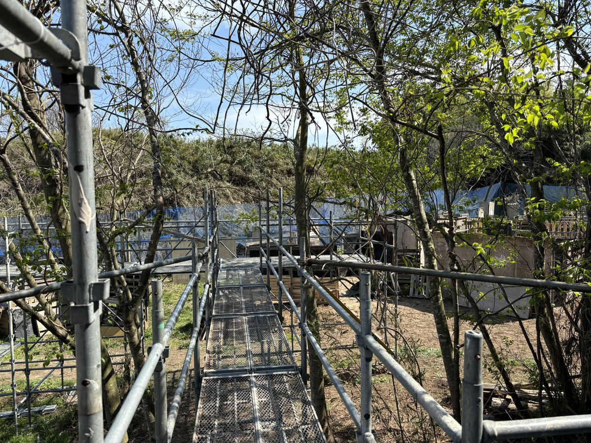 cliff1038's tweet photo. 有志の皆様のご協力で空中回廊風の観戦台がががが❗️ご協力ありがとうございました❗️ https://t.co/P7rasi5DRV