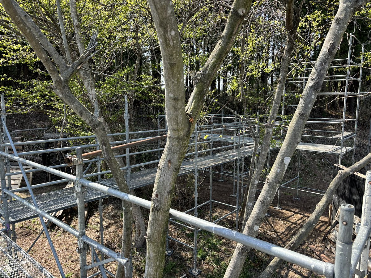 cliff1038's tweet photo. 有志の皆様のご協力で空中回廊風の観戦台がががが❗️ご協力ありがとうございました❗️ https://t.co/P7rasi5DRV