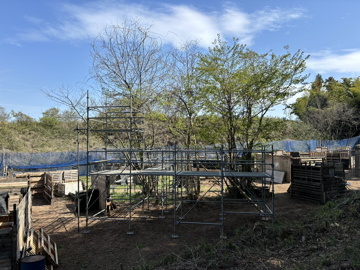 cliff1038's tweet photo. 有志の皆様のご協力で空中回廊風の観戦台がががが❗️ご協力ありがとうございました❗️ https://t.co/P7rasi5DRV