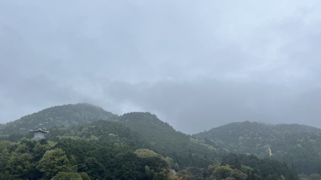 昼も散歩。霧まみれ。