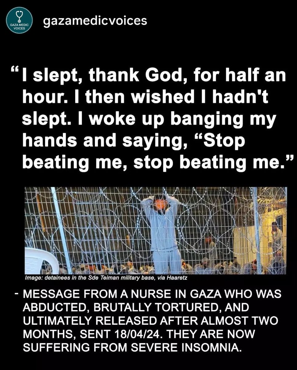 TIMES OF GAZA tweet media