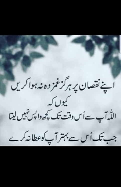 Subhan Allah Best Post and Repost It 💜
