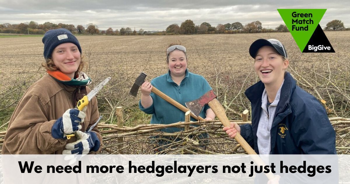 A countryside skill, practised for centuries, hedgelaying is the art of rejuvenating a gappy hedge. Help us to ensure that this valuable skill is available to future generations. 
#GreenMatchFund #DoubleYourDonation this week > buff.ly/3JbG1KO