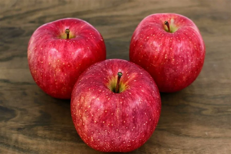 青森県の「有袋ふじ」をご紹介🍎 👉 ja-town.com/shop/a/a240421… 青森りんごの代表品種❗️青森の「ふじ」をできるだけ長い期間食べていただくために、袋をかけて日持ちがよくなるようにしたのが、「有袋ふじ」です🍎甘味と酸味のバランスの良さが人気です😃 #JAタウン #産地直送 #通販サイト