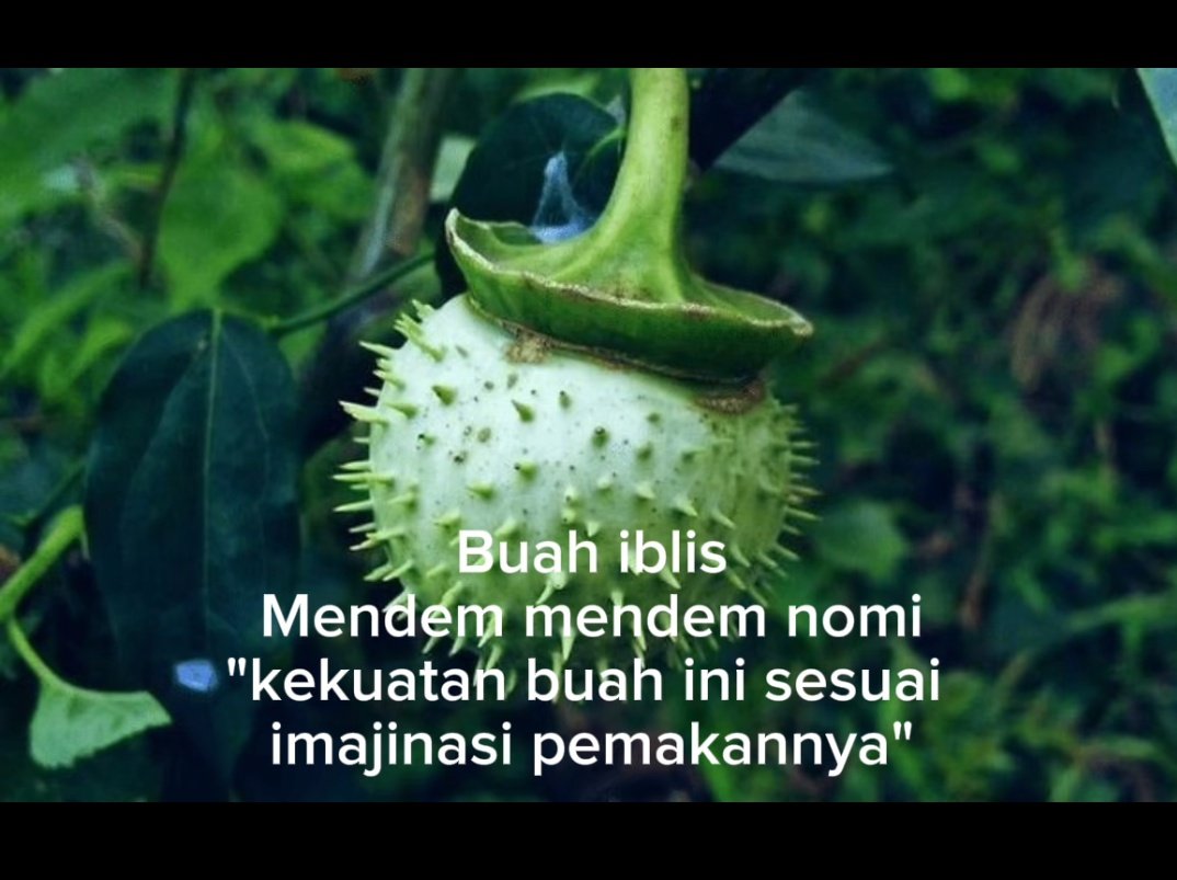 Raden tweet media