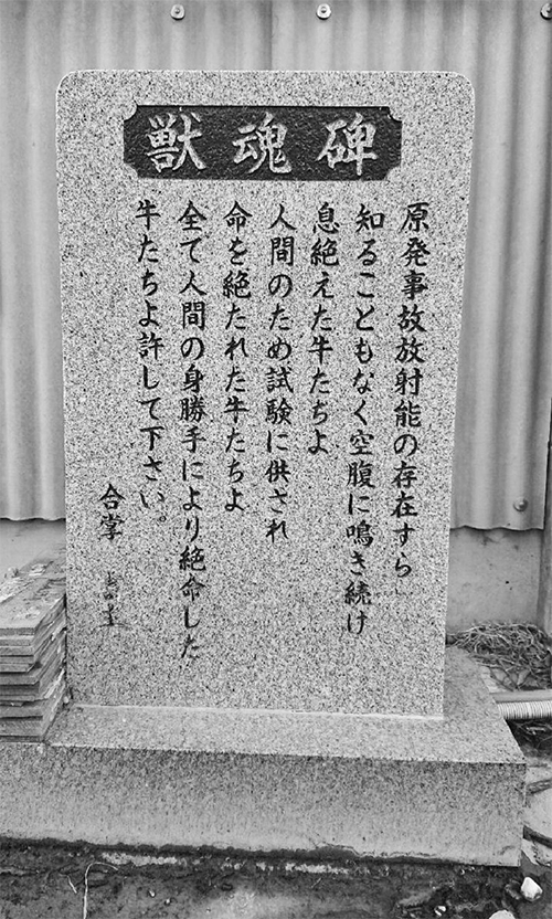 A memorial tablet for cows in the Fukushima exclusion zone, it reads: 'Cows that cried continuously for food without knowing the existence of radiological contamination and starved to death. Cows that were forced to be experimented on and killed for humans. Cows that died due to